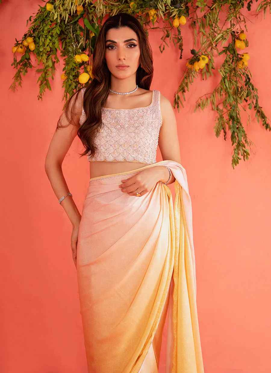 Rumi Charmeuse Saree